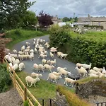 Feriehus Wonderfully Scenic And Comfortable Dales Mill