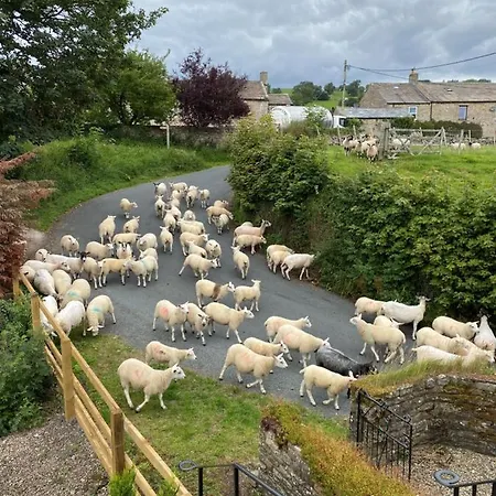 Сasa de vacaciones Wonderfully Scenic And Comfortable Dales Mill